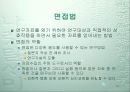 조사연구 16페이지