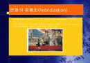 문화 13페이지