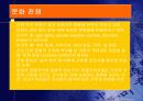 문화 15페이지