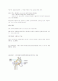 순발력측정 방법 3페이지