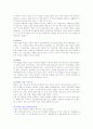 자살에 대한 생각 2페이지