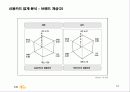 국민카드의 브랜드 전략 16페이지