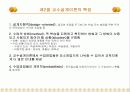 [교육공학] 대학원생이 만든 교수설계 (파워포인트 텍스트 요약 & 프리젠테이션용) 6페이지