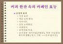 커피와 건강 4페이지