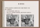 패턴 인식 18페이지