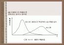 패턴 인식 30페이지