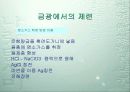 은의 제련 11페이지