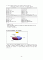 에버랜드 하우스텐보스의 발전 방향 모색 8페이지