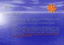 12 사사(士師)에 대한 조사 4페이지