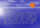 12 사사(士師)에 대한 조사 5페이지