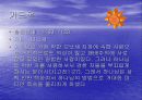12 사사(士師)에 대한 조사 9페이지