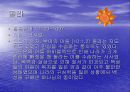 12 사사(士師)에 대한 조사 10페이지