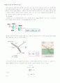 편광과 부르스터 각도 3페이지