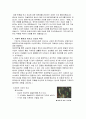 영화 바텔를 보고 바로크 시대 의상(패션) 이해 2페이지