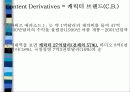 디지털캐릭터 산업의 가능성과 발전방향 10페이지
