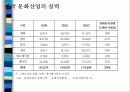 디지털캐릭터 산업의 가능성과 발전방향 13페이지