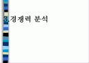 디지털캐릭터 산업의 가능성과 발전방향 22페이지