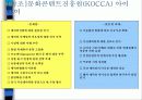 디지털캐릭터 산업의 가능성과 발전방향 29페이지