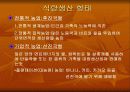 농업과 식량 13페이지