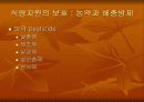 농업과 식량 24페이지