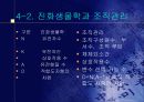 복잡성 이론 14페이지