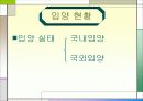 입양가족과 복지대책 11페이지