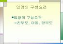 입양가족과 복지대책 14페이지