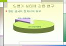 입양가족과 복지대책 28페이지