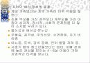 계부모 가족 19페이지