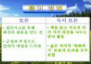 초등교육) 교수-학습 활동 적용을 통한 독서력 신장 7페이지