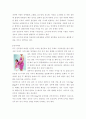 비만과 복부비만 3페이지