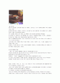터키의 전통 음식 문화에 대하여 조사하시오 13페이지