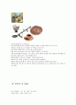 터키의 전통 음식 문화에 대하여 조사하시오 15페이지
