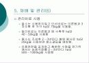 알팔파(Alfalfa)에 대하여 18페이지