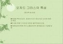 오차드그라스 5페이지