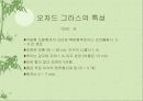 오차드그라스 9페이지