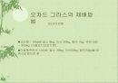 오차드그라스 13페이지