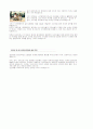 삼성화제 15페이지