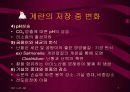 계란 가공품의 이해와 분석-개념부터 다양한 활용제품까지 모두 포함 7페이지