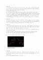 엘리어트 파동이론 2페이지