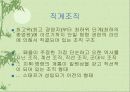 경영활동의 조직화에 대한 이해와 분석-이론과 실제 17페이지