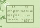 경영활동의 조직화에 대한 이해와 분석-이론과 실제 28페이지