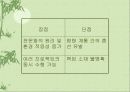 경영활동의 조직화에 대한 이해와 분석-이론과 실제 30페이지