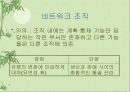 경영활동의 조직화에 대한 이해와 분석-이론과 실제 31페이지