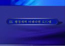 행정개혁의 필요성과 비젼 실천방법과 아젠다별 로드맵(행정혁신정책 발표 대상 수상작) 12페이지