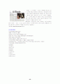 보아의 스타 마케팅 32페이지