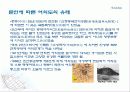 여의도의 변화과정 4페이지