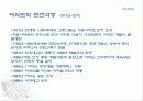 여의도의 변화과정 15페이지