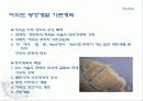 여의도의 변화과정 16페이지