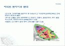여의도의 변화과정 28페이지